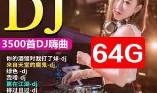 求最劲爆!最狂野!最震撼的DJ舞曲~请不要重复~ 最劲爆的dj舞曲