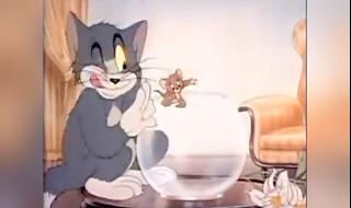 《猫和老鼠》四川方言版是哪两个配的音 猫和老鼠四川方言版