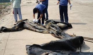 三峡水库在哪个省 三峡水库在哪个省