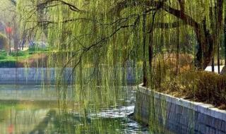 三月的繁体字 关于三月的唯美句子