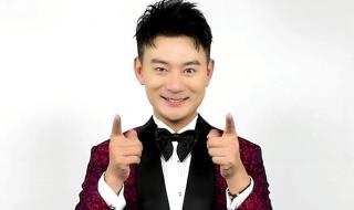 安徽卫视春节晚会2019主持人 安徽卫视主持人名单