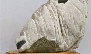 石家庄万象天成影院票价是多少 石家庄博纳国际影城