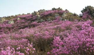 遇上你是我的缘DJ版 遇上你是我的缘DJ版