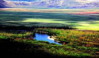 额尔古纳乐队鸿雁