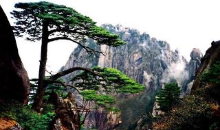 中国十大地质公园 中国十大地质公园