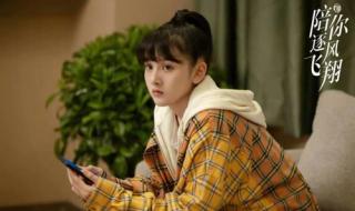 陪你逐风飞翔大结局