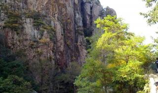 秋天的石头密码 秋天的石头密码