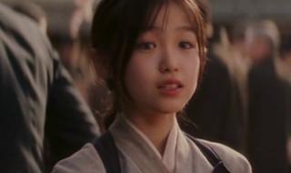 艺伎回忆录将军扮演者 艺伎回忆录完整版