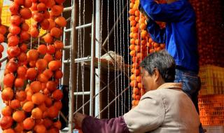 干柿子家常制作方法 柿饼的制作方法过程