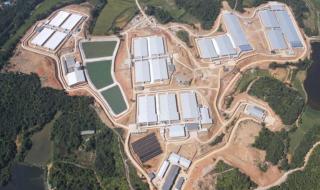 选择养猪创业项目的理由 养猪场建设项目