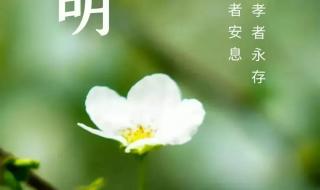 2023年清明放假调休 2023年清明放假调休