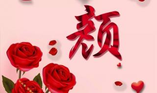 时光不老我们不散