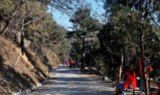 骑摩托车去香山停哪 香山停车短信通知