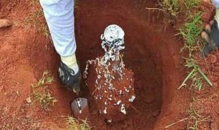 家里有蚂蚁窝怎么办 家里有蚂蚁窝怎么办