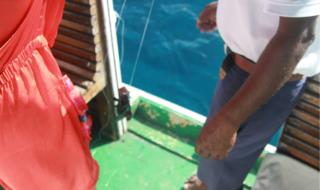 周游记2什么时候更新 新游记怎么没更新