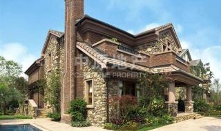 买别墅有宅基地证吗 别墅出售独栋别墅