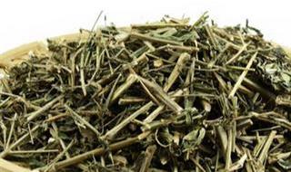 定居在湖州安吉的真实感受 浙江省湖州市安吉县