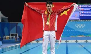 中国国家跳水队教练 中国跳水男队叫什么队